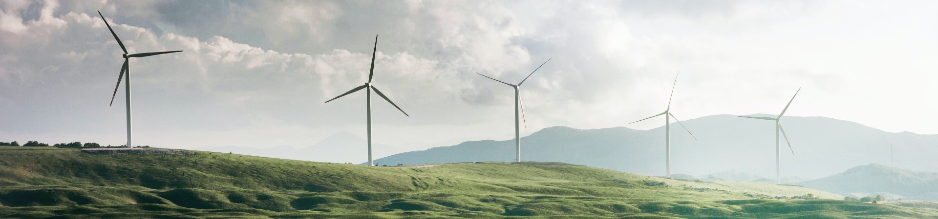 Windmill-fields-1920x450.jpg