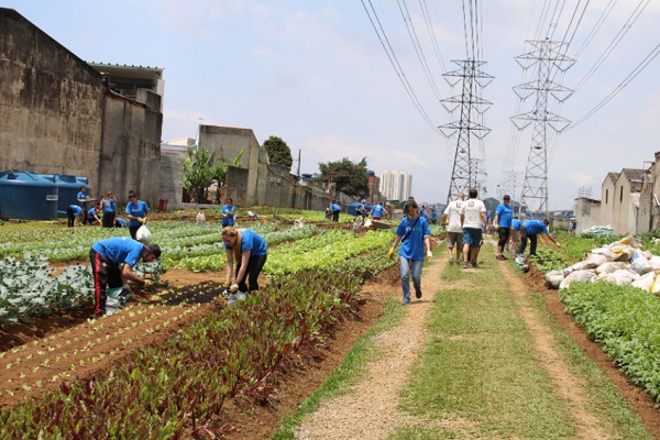 Project Cidades Sem Fome in Brazil