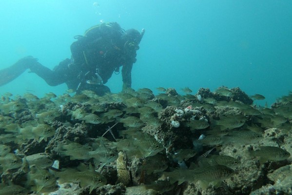 Australia-Reefs