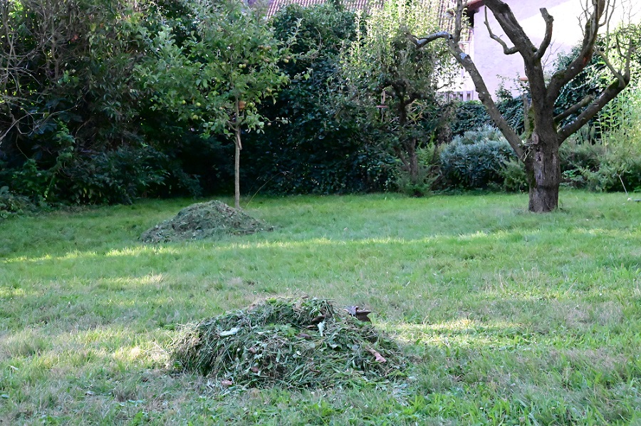 Pile of drying mown grass